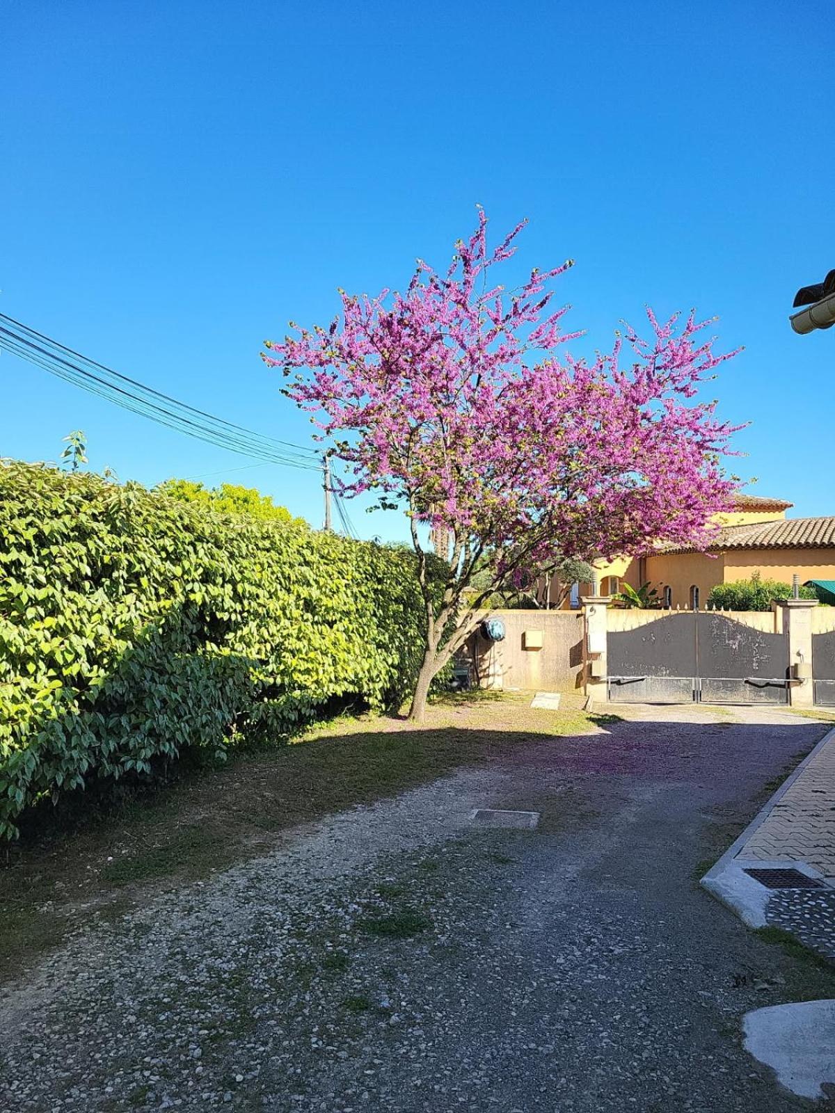 La Toscana Roquebrune Sur Argens Exterior foto